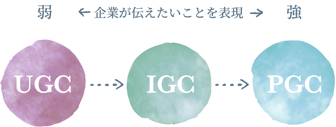 UGC→IGC→PGC
